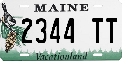 ME license plate 2344TT