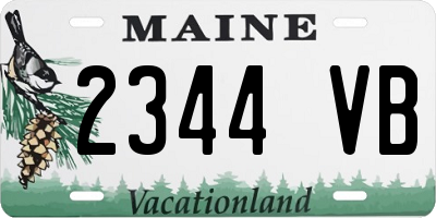 ME license plate 2344VB