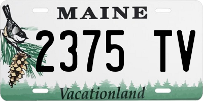 ME license plate 2375TV