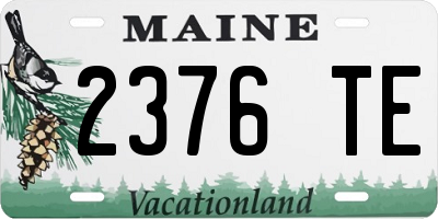 ME license plate 2376TE