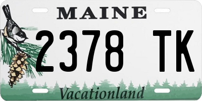 ME license plate 2378TK