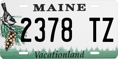 ME license plate 2378TZ