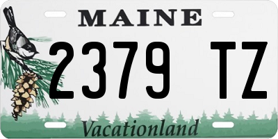 ME license plate 2379TZ
