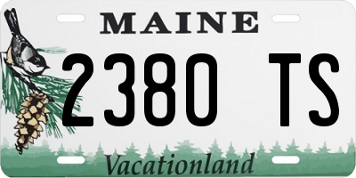 ME license plate 2380TS