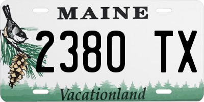 ME license plate 2380TX