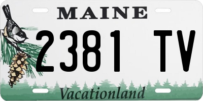 ME license plate 2381TV