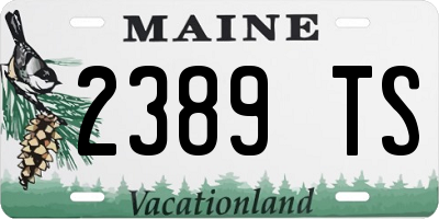 ME license plate 2389TS
