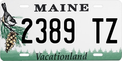 ME license plate 2389TZ