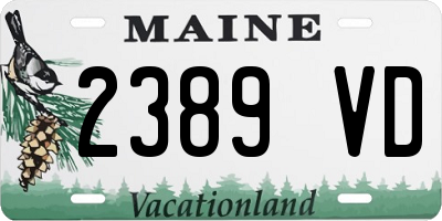 ME license plate 2389VD