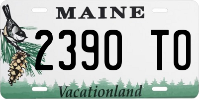ME license plate 2390TO