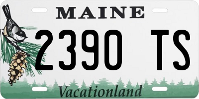ME license plate 2390TS