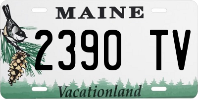 ME license plate 2390TV