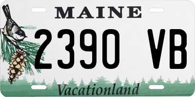 ME license plate 2390VB