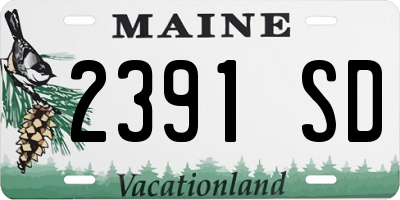 ME license plate 2391SD