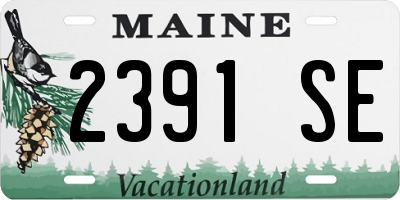 ME license plate 2391SE