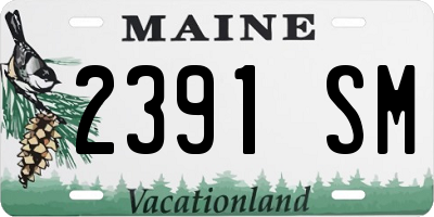 ME license plate 2391SM