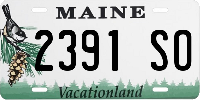 ME license plate 2391SO