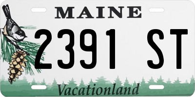 ME license plate 2391ST