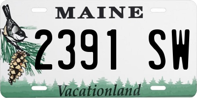 ME license plate 2391SW