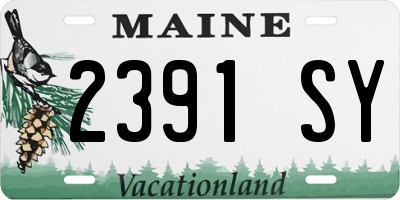 ME license plate 2391SY
