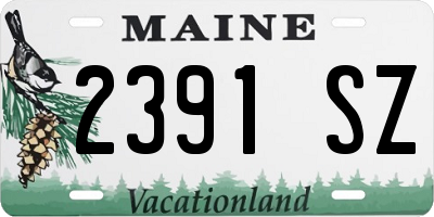 ME license plate 2391SZ