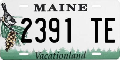ME license plate 2391TE
