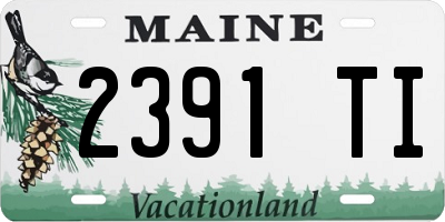 ME license plate 2391TI