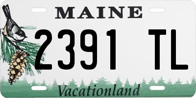 ME license plate 2391TL