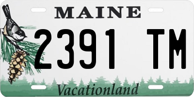 ME license plate 2391TM