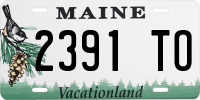 ME license plate 2391TO