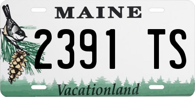 ME license plate 2391TS