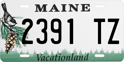 ME license plate 2391TZ