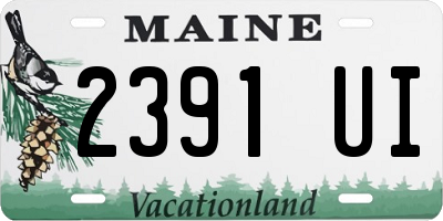 ME license plate 2391UI