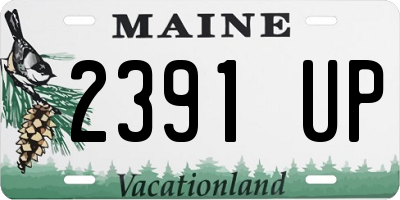 ME license plate 2391UP
