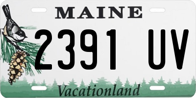 ME license plate 2391UV