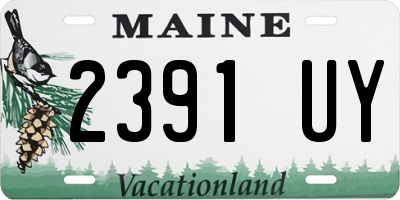 ME license plate 2391UY