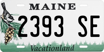 ME license plate 2393SE