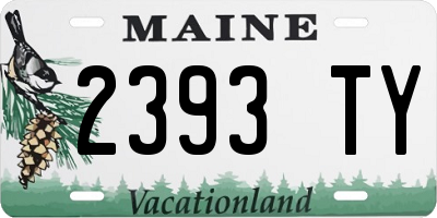 ME license plate 2393TY
