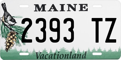 ME license plate 2393TZ