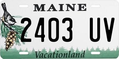 ME license plate 2403UV