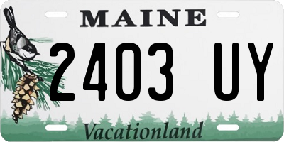 ME license plate 2403UY