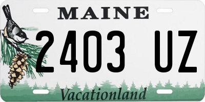 ME license plate 2403UZ