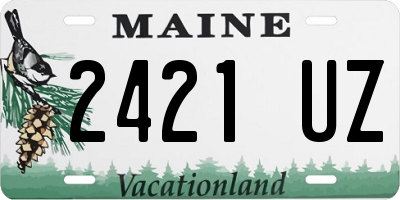 ME license plate 2421UZ