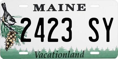 ME license plate 2423SY