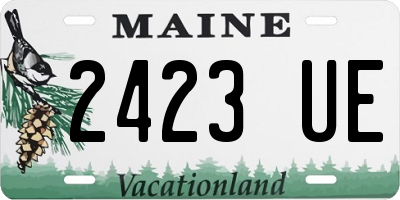 ME license plate 2423UE