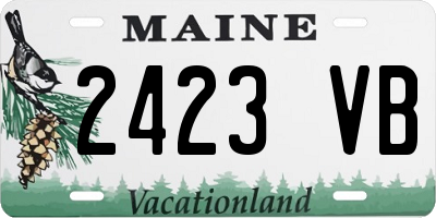 ME license plate 2423VB
