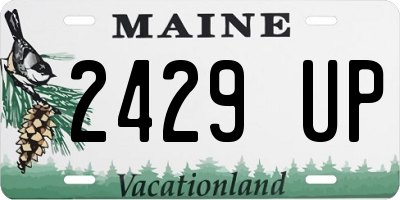 ME license plate 2429UP