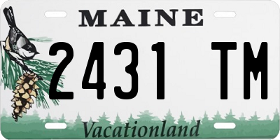 ME license plate 2431TM