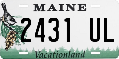 ME license plate 2431UL