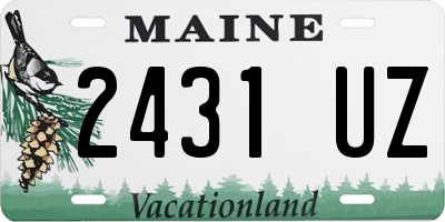 ME license plate 2431UZ